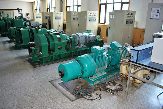 临夏某热电厂使用我厂的YKK高压电机提供动力